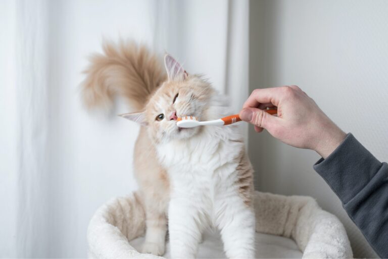 iStock 1138897021 scaled 1