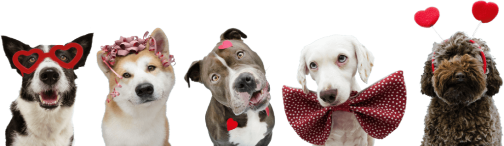 iStock 1300842515