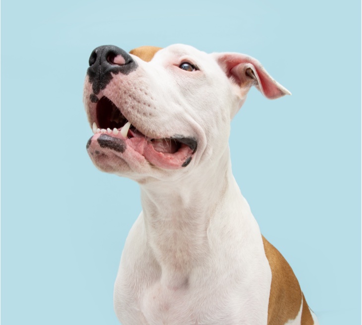 iStock 1321101645