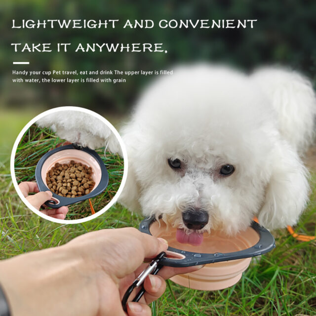 Collapsible Silicone Travel Bowl for Dogs & Cats – Portable Food & Water Dish