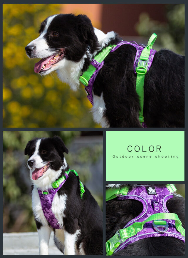 Dog leashes dog chain vest vest straps - Image 2
