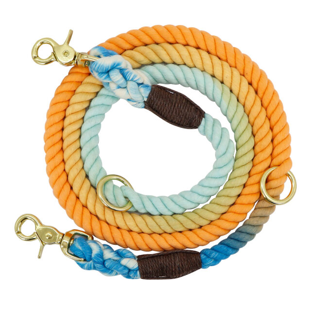 Gradient Dog Collar & Leash Set – Metal Chain Training Rope for Outdoor Walks - Image 3
