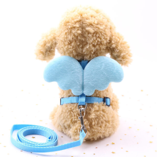 Cute Angel Pet Dog Leashes - Image 3