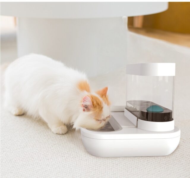 4-in-1 Cat/Dog Bowl Set – Auto Water Fountain & Feeder (1.5L) - Image 3