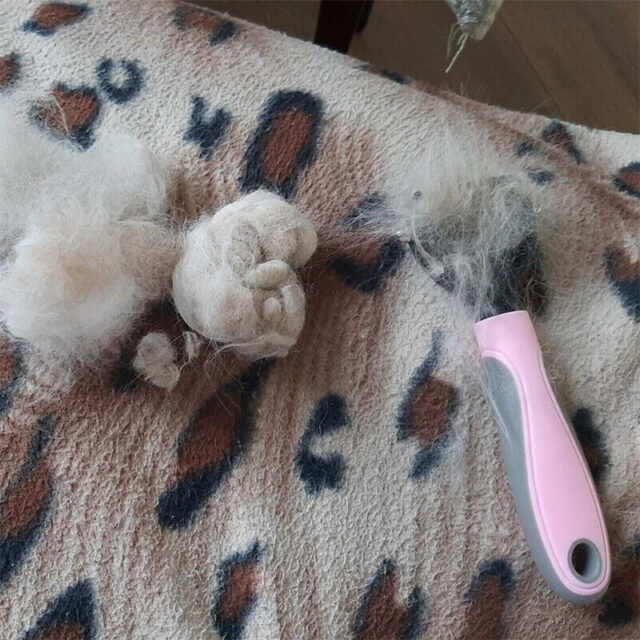 Double-Sided Pet Grooming Brush – Deshedding & Dematting Tool for Dogs & Cats - Image 9