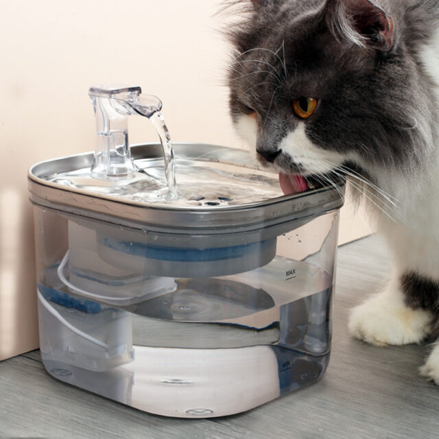 Auto-Circulating Pet Water Fountain – Stainless Steel (Cats/Dogs) - Image 8
