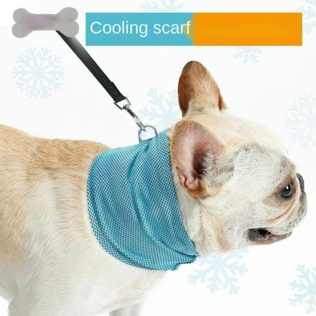 Instant Cooling Dog Bandana – Summer Pet Scarf & Towel Collar - Image 6