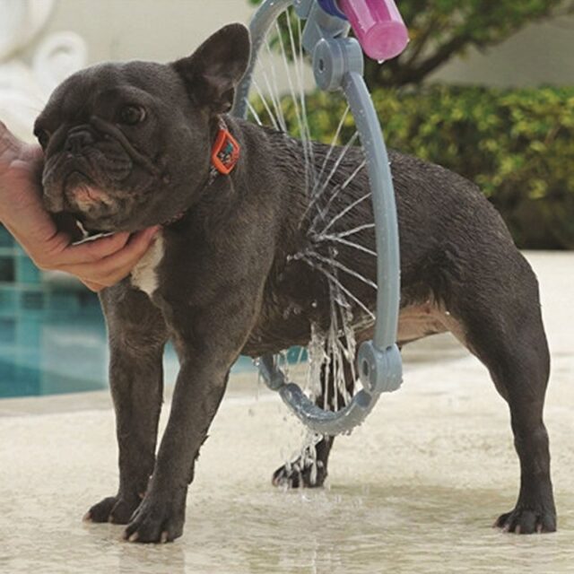 One-key Foldable Cleaning Hose For Pet Bathing - Image 4