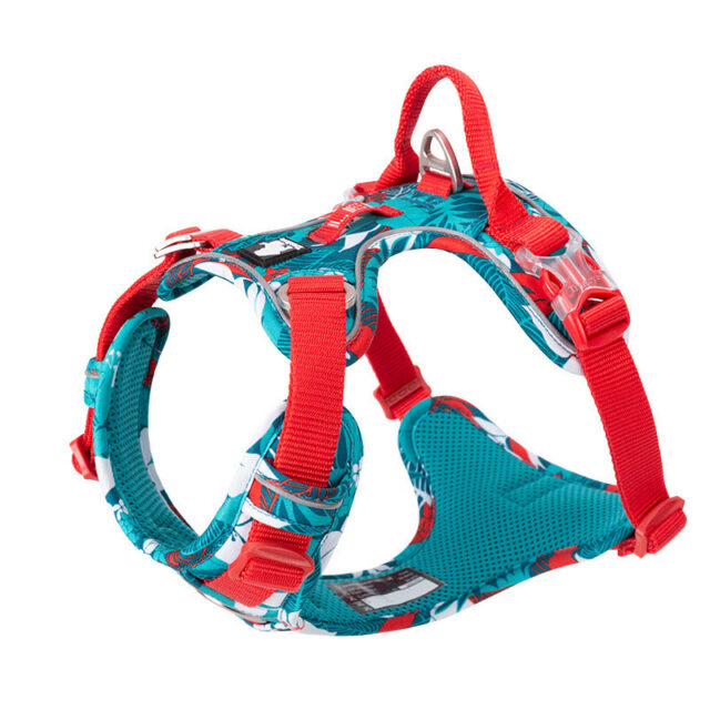 Dog leashes dog chain vest vest straps - Image 3
