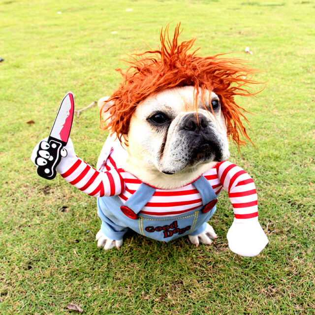 Halloween Dog Costume – Adjustable & Funny Scary Outfit - Image 8