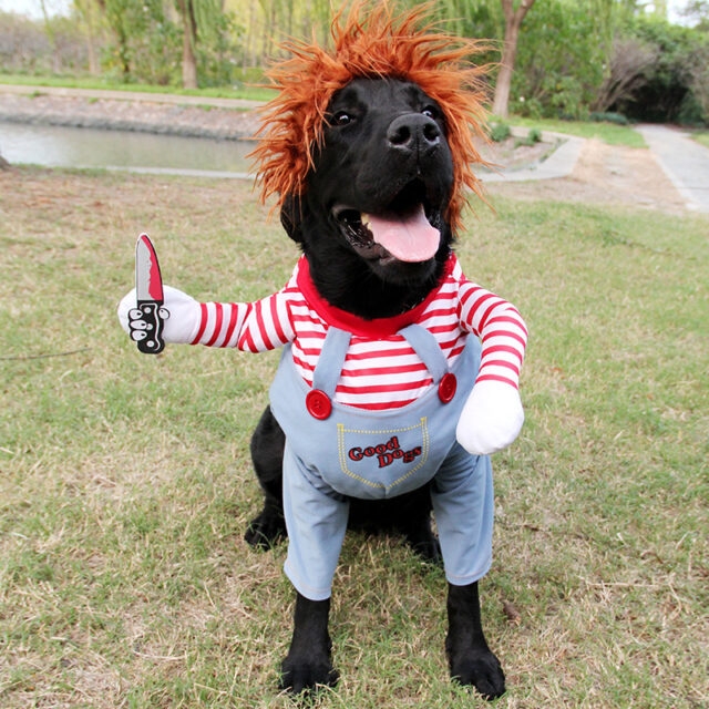 Halloween Dog Costume – Adjustable & Funny Scary Outfit - Image 7