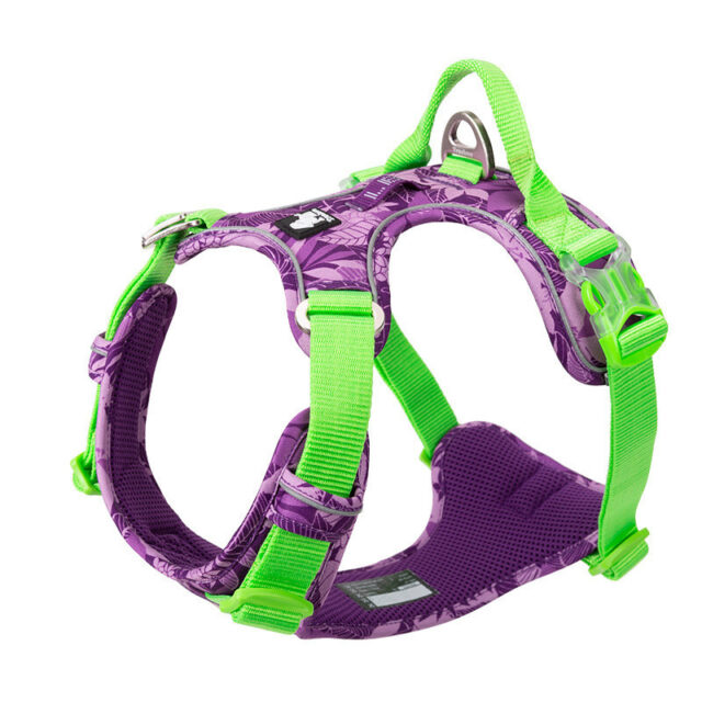 Dog leashes dog chain vest vest straps - Image 6