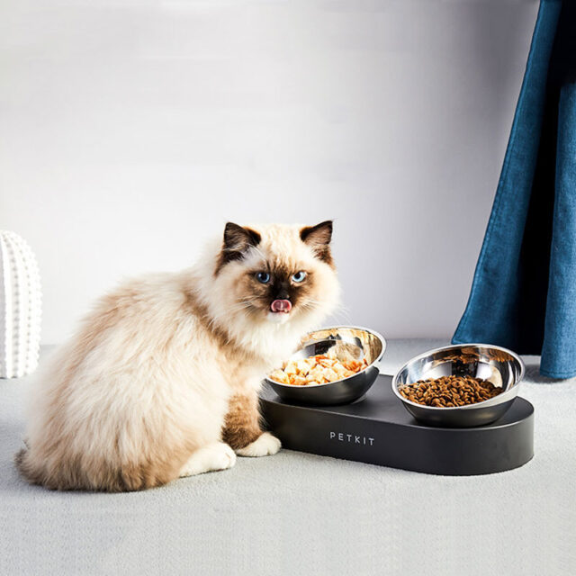 Adjustable Stainless Steel Pet Dog Cat Double Bowls Anti-Slip - Image 7
