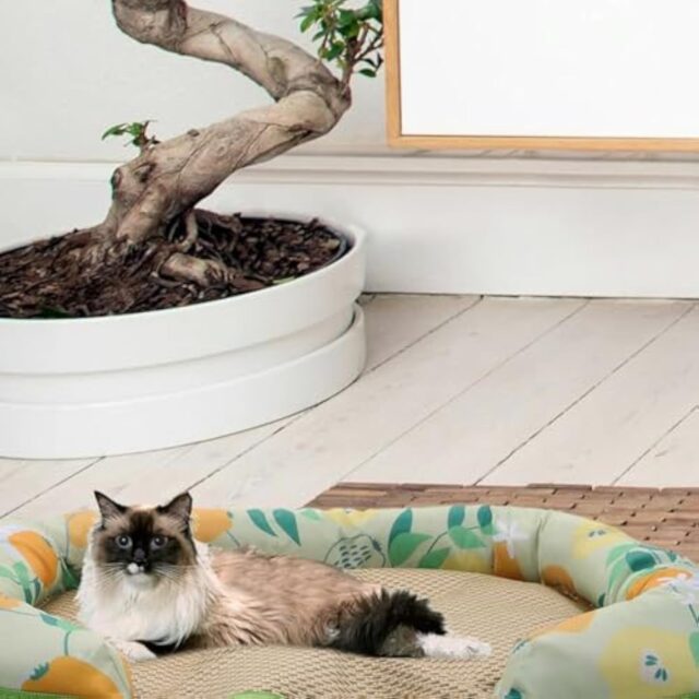 Self-Cooling Pet Mat – Summer Sleep Pad for Dogs & Cats - Image 6