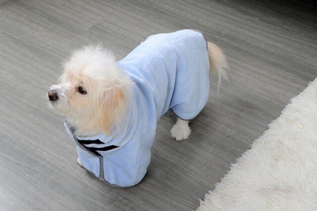 Quick-Dry Microfiber Pet Towel – Super Absorbent for Dogs & Cats - Image 10