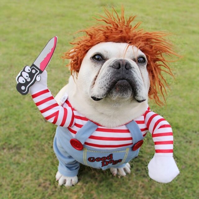 Halloween Dog Costume – Adjustable & Funny Scary Outfit - Image 2
