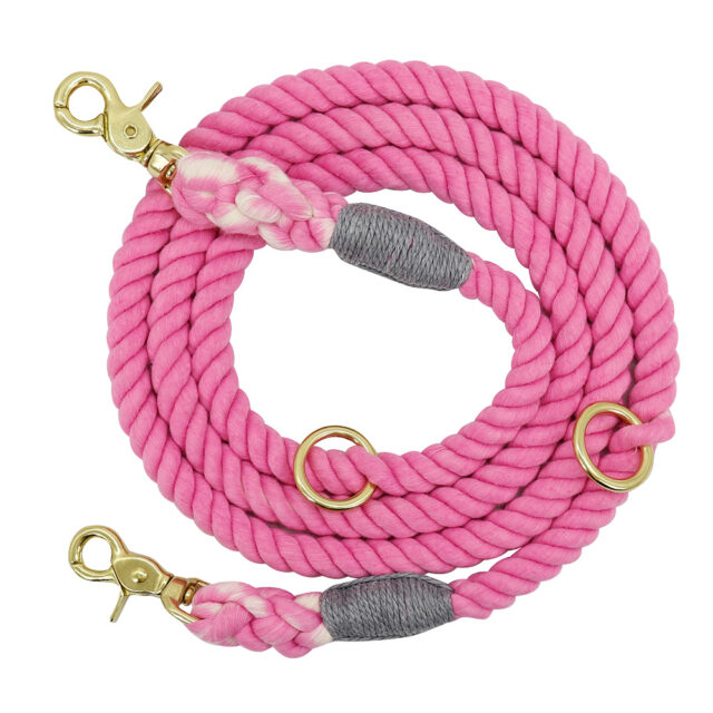 Gradient Dog Collar & Leash Set – Metal Chain Training Rope for Outdoor Walks - Image 4