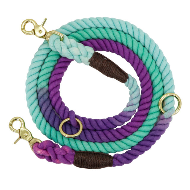 Gradient Dog Collar & Leash Set – Metal Chain Training Rope for Outdoor Walks - Image 2