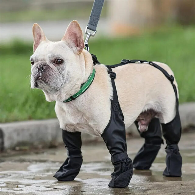 Waterproof Adjustable Dog Shoes – Breathable Outdoor Paw Protectors - Image 8