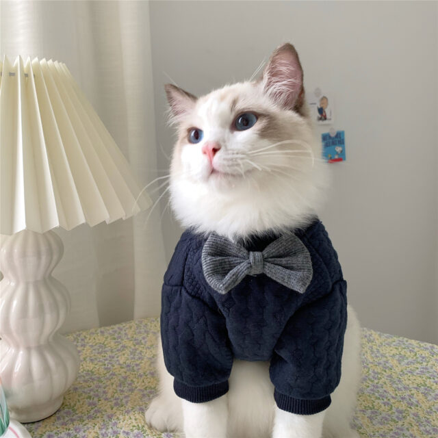 Warm And Cute Clothes For Pets Feet - Image 2