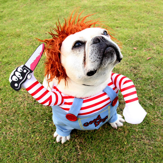 Halloween Dog Costume – Adjustable & Funny Scary Outfit - Image 9