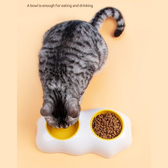 Double Dog Bowls – Anti-Spill Food & Water Feeder for Puppies - Image 8