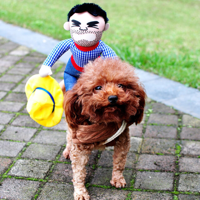Halloween Dog Costume – Adjustable & Funny Scary Outfit - Image 4