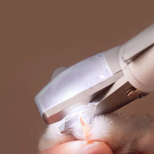 ED Pet Nail Clipper – Professional Trimmer for Dogs & Cats - Image 5