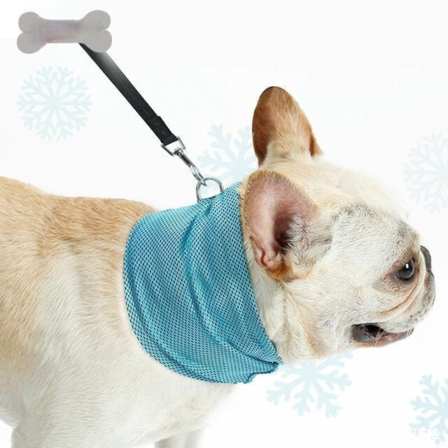 Instant Cooling Dog Bandana – Summer Pet Scarf & Towel Collar