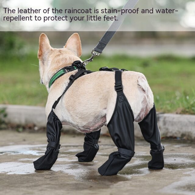 Waterproof Adjustable Dog Shoes – Breathable Outdoor Paw Protectors - Image 6