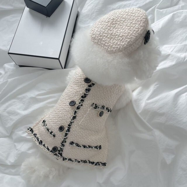 Pet Dog Cat Accessories Knitted Hat - Image 5