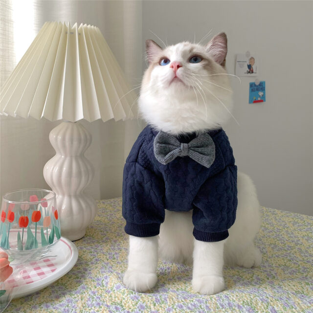 Warm And Cute Clothes For Pets Feet - Image 3