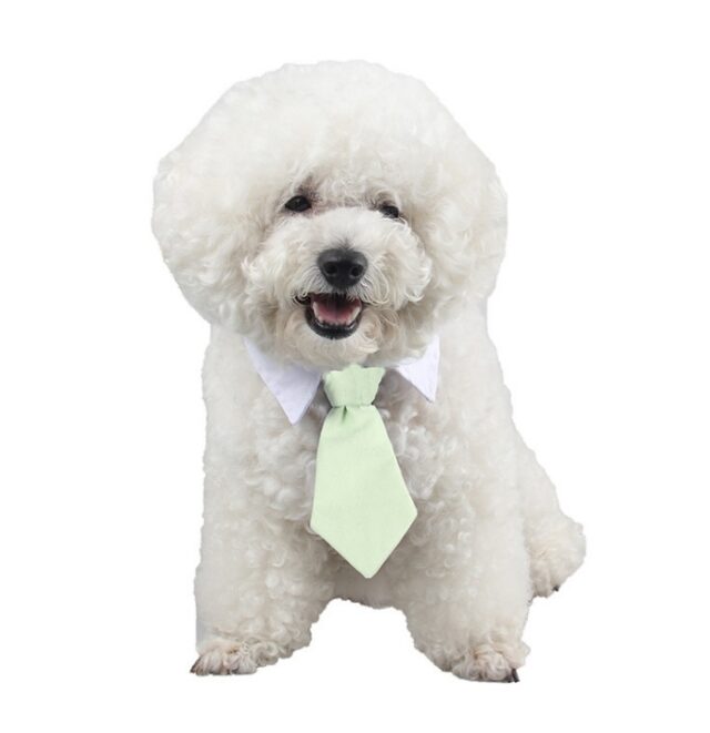 Pet bow tie tie child baby tie cartoon print small tie spot wholesale dog tie - Image 8