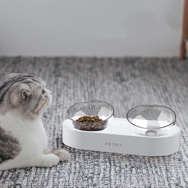 Adjustable Stainless Steel Pet Dog Cat Double Bowls Anti-Slip - Image 4