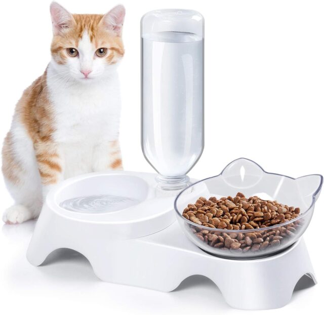 Tilted Pet Bowl Set – Dual Food & Auto Water Bottle for Cats/Dogs