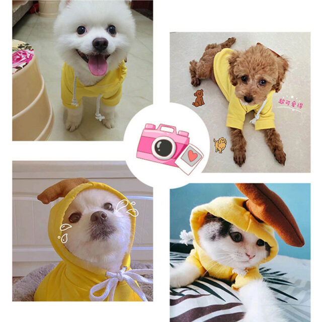 Fruit-Themed Dog Hoodie – Winter Fleece Coat for Small Breeds - Image 6