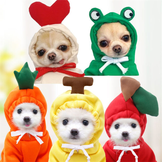 Fruit-Themed Dog Hoodie – Winter Fleece Coat for Small Breeds - Image 8