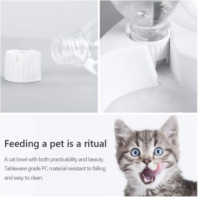 Tilted Pet Bowl Set – Dual Food & Auto Water Bottle for Cats/Dogs - Image 3