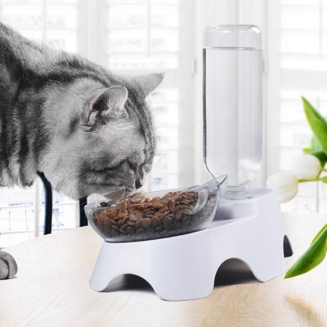 Tilted Pet Bowl Set – Dual Food & Auto Water Bottle for Cats/Dogs - Image 4