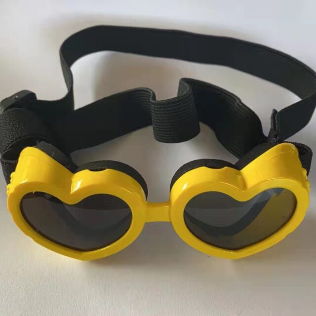 Pet Glasses Windproof Eye Protection Accessories - Image 5
