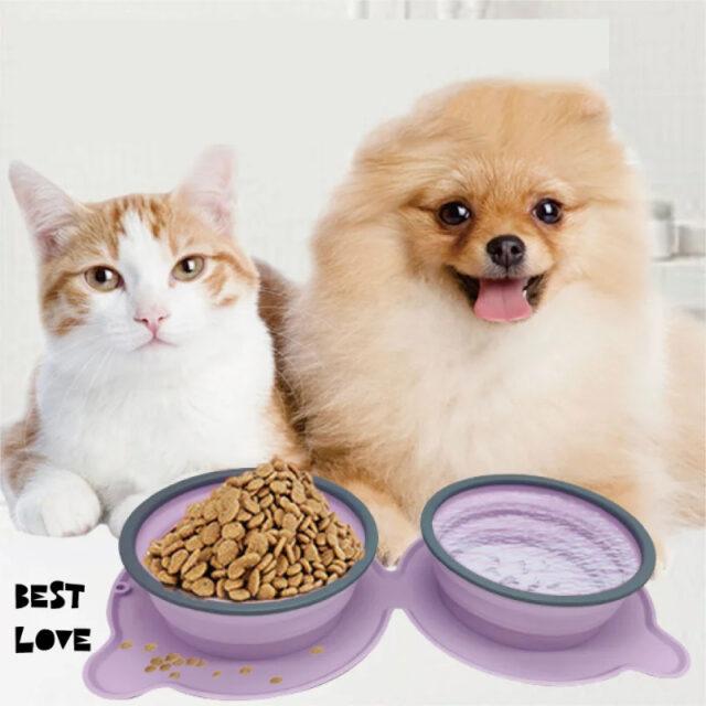 Portable Double Silicone Pet Bowl – Foldable Non-Slip Travel Feeder for Dogs & Cats