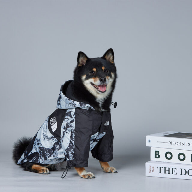 Warm Dog Clothing Pet Coat Windproof Cotton - Image 4
