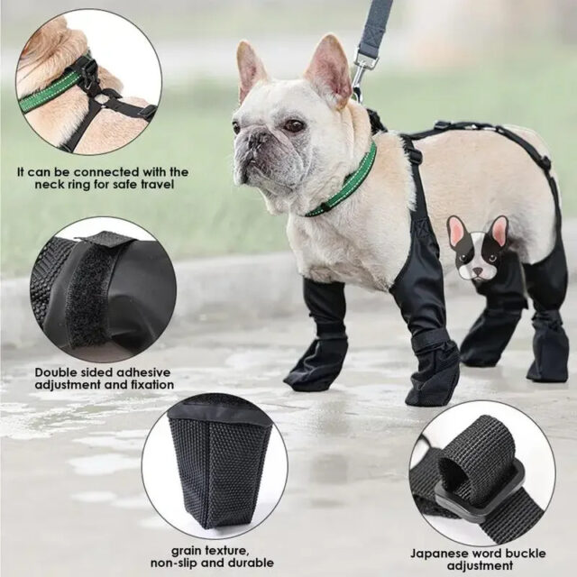 Waterproof Adjustable Dog Shoes – Breathable Outdoor Paw Protectors