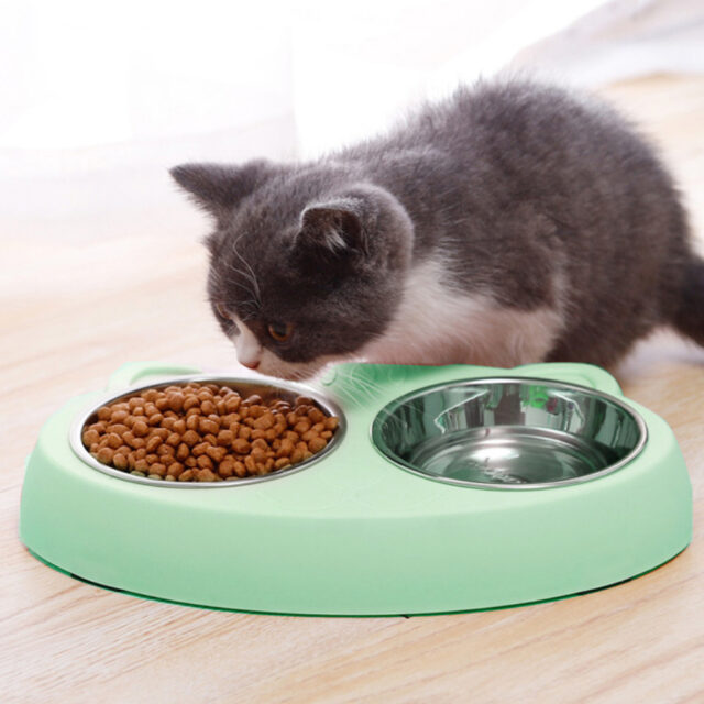 Double Dog Bowl Set – Stainless Steel Food & Water Feeder with Non-Slip Base - Image 4