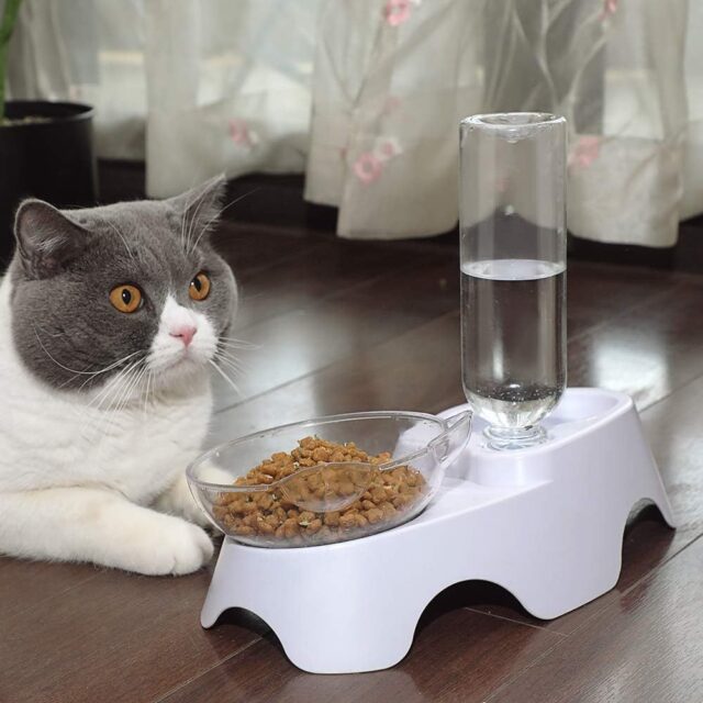 Tilted Pet Bowl Set – Dual Food & Auto Water Bottle for Cats/Dogs - Image 5