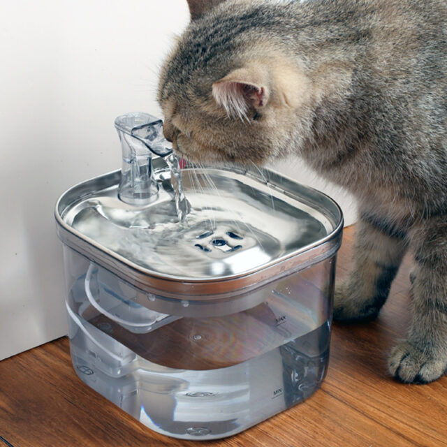 Auto-Circulating Pet Water Fountain – Stainless Steel (Cats/Dogs) - Image 5