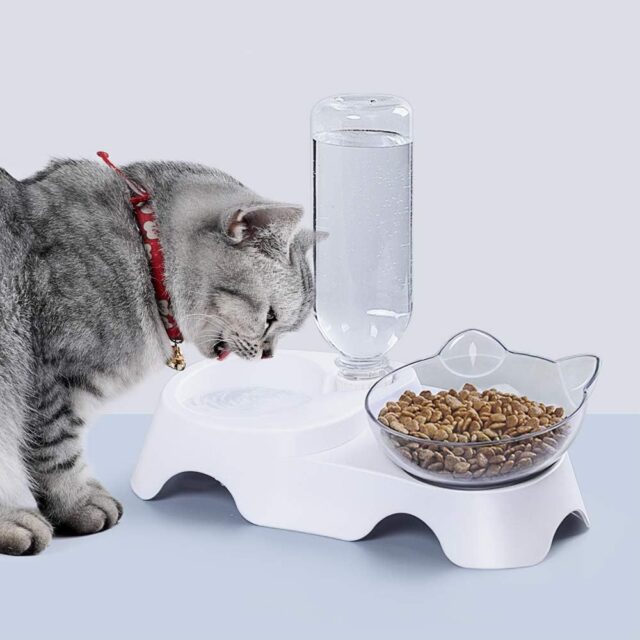 Tilted Pet Bowl Set – Dual Food & Auto Water Bottle for Cats/Dogs - Image 8
